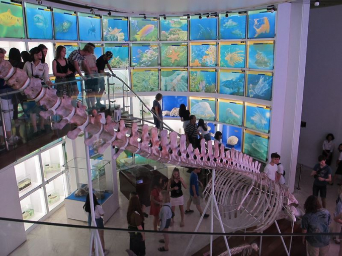 Bảo tàng Quảng Ninh thu hút rất đông du khách thăm quan