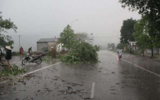 Mưa đá, lốc càn quét các huyện miền tây xứ Nghệ gây thiệt hại nặng nề