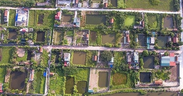 Biệt thự, nhà tầng không phép đua nhau “mọc” trên đất nông nghiệp ở TP Thái Bình
