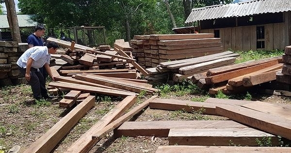 Quảng Bình: Phát hiện gỗ lậu giấu trong... trụ sở UBND xã