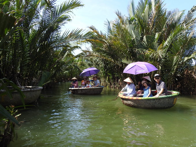Cách phố cổ Hội An khoảng hơn 4 km khu du lịch rừng dừa Bảy Mẫu (xã Cẩm Thanh, Hội An) đang là điểm du lịch sinh thái hấp dẫn được nhiều người ví là