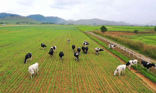 Vinamilk liên doanh với doanh nghiệp Lào và Nhật Bản khởi công xây dựng tổ hợp “Resort” bò sữa Organic quy mô 5.000ha tại Lào