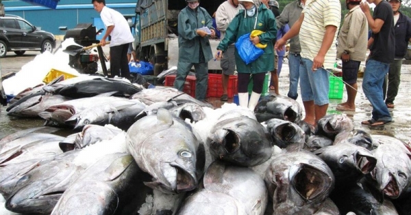 Trung Quốc miễn thuế hơn 30 mặt hàng thủy sản Việt Nam