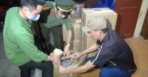 Thanh Hoá: Bắt 5 đối tượng mua bán trái phép hơn 200 kg thuốc nổ công nghiệp
