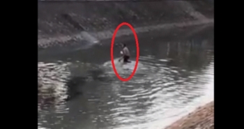 Clip: Ngỡ ngàng chứng kiến cảnh nam thanh niên cởi trần hò hét dưới sông Kim Ngưu