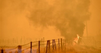 Tần suất cháy rừng thảm khốc ở Australia có chiều hướng gia tăng