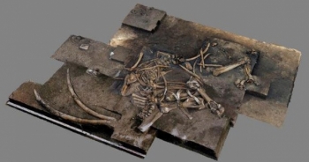 Phát hiện bộ xương voi cổ đại 300.000 năm tuổi ở Đức
