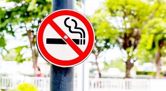 Các tổ chức chống thuốc lá đang làm gì?