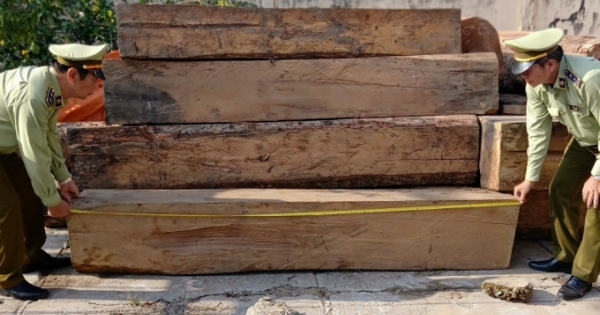 Thu giữ 9,21m3 gỗ lậu các loại tại Tiền Giang