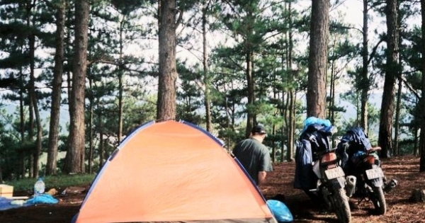 Lâm Đồng: Tăng cường quản lý hoạt động du lịch cắm trại, dã ngoại