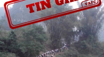 Tin giả về nạn vận chuyển hàng lậu qua cửa khẩu Móng Cái, Quảng Ninh