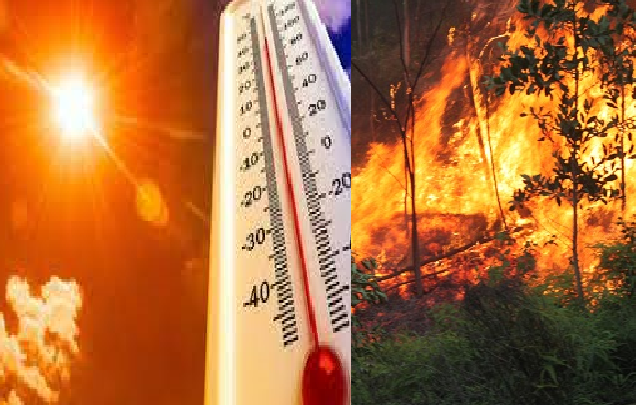 Nắng nóng gay gắt nguy cơ cao cháy rừng ở các tỉnh Trung Bộ