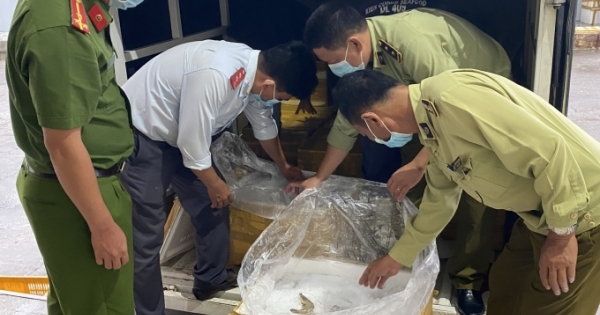 Chưa tìm thấy chủ sở hữu 300 kg tôm chứa tạp chất tại Kiên Giang