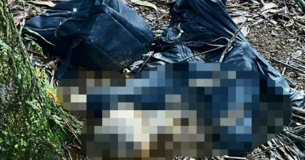 Lâm Đồng: Tá hỏa phát hiện thi thể trong rừng tràm