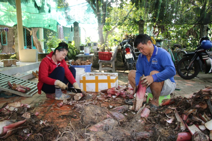 Ngoài phát triển kinh tế cho bản thân, mô hình của chị Nguyễn Phượng Hằng còn tạo công ăn việc làm cho nhiều lao động nông thôn. Ảnh: TÂM MINH