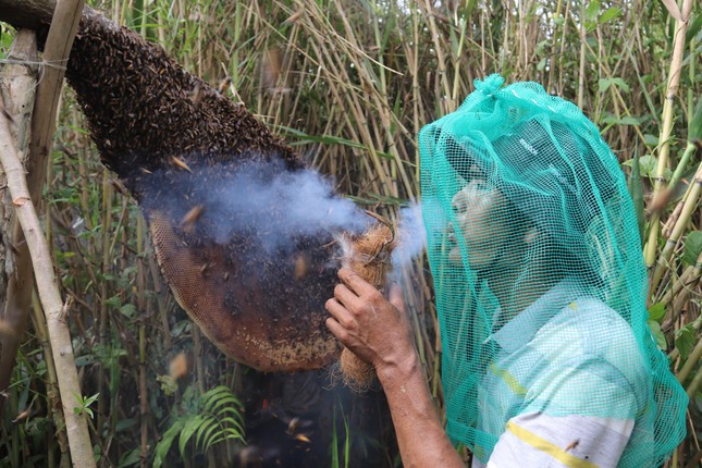 Anh Huỳnh Vũ Hoàng thu hoạch mật ong.