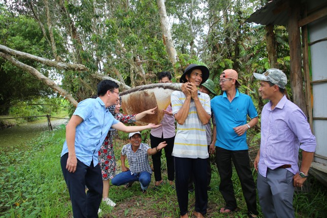 Mật ong rừng tràm U Minh Hạ là đặc sản nổi danh, quý giá mà thiên nhiên đã ban tặng.