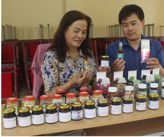 HTX Dược liệu An Phúc Khang ở xã Đắk Ha (Đắk Glong) đang làm các thủ tục hành chính để sớm đưa sản phẩm lên STMĐT.