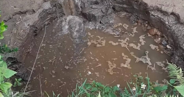 Hàng trăm giếng nước cạn khô đáy ở Nghệ An: Yêu cầu các doanh nghiệp tạm dừng khai thác nước ngầm