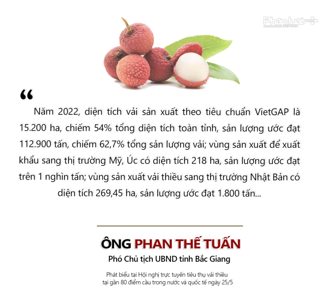 1 - Phan the tuan