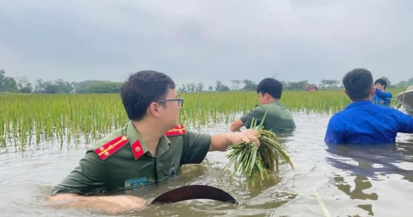 Công an, đoàn viên thanh niên ngâm mình trong nước gặt lúa giúp dân