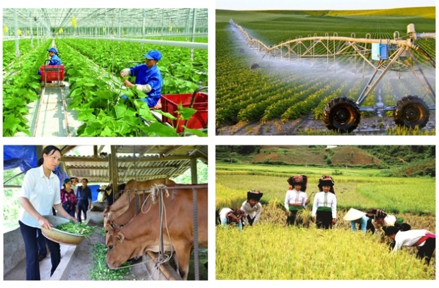 Chính sách mới hỗ trợ bảo hiểm nông nghiệp
