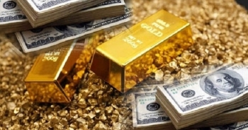 Giá vàng và đô la Mỹ trong nước đều tăng trong 5 tháng đầu năm 2023