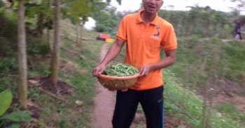“Màu xanh tình nguyện”… trên những nông trại hữu cơ