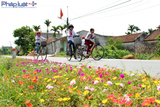Con đường hoa đầy l&atilde;ng mạn ở l&agrave;ng qu&ecirc; Nam Định