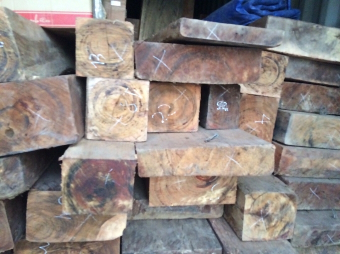 6,7m3 gỗ bị lực lượng chức năng thu giữ.