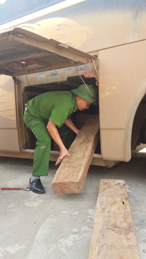 Lực lượng chức năng tiến h&agrave;nh kh&aacute;m chiếc xe v&agrave; thu một lượng lớn gỗ Đinh Hương.