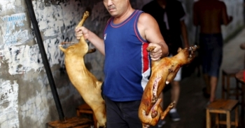 Hơn 11 triệu chữ ký phản đối lễ hội thịt chó ở Trung Quốc