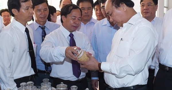 Thủ tướng Nguyễn Xuân Phúc thăm Viện lúa Đồng bằng sông Cửu Long