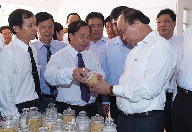 Thủ tướng Nguyễn Xu&acirc;n Ph&uacute;c cũng lưu &yacute;, nước ta ng&agrave;y c&agrave;ng hội nhập s&acirc;u rộng n&ecirc;n gạo phải c&oacute; sức cạnh tranh quốc tế với chất lượng cao.