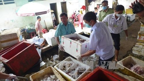 Phát hiện hơn 600 kg thực phẩm bẩn trong khu chợ lớn nhất tỉnh Bình Phước