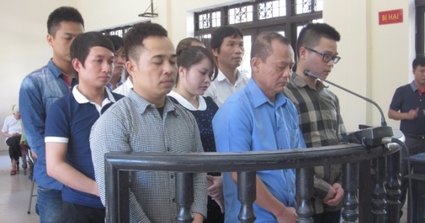 Phó Thủ tướng đề nghị xem xét kết quả điều tra, xét xử vụ án trùm gỗ lậu Minh "sâm"