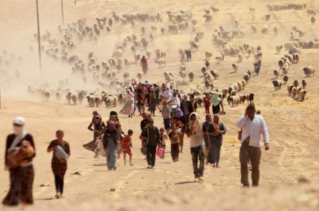 Hiện c&oacute; từ 100.000 - 600.000 người theo t&ocirc;n gi&aacute;o Yazidis, tập trung chủ yếu ở ph&iacute;a bắc Iraq, đặc biệt l&agrave; tại thị trấn Sinjar. (Ảnh: Reuters)