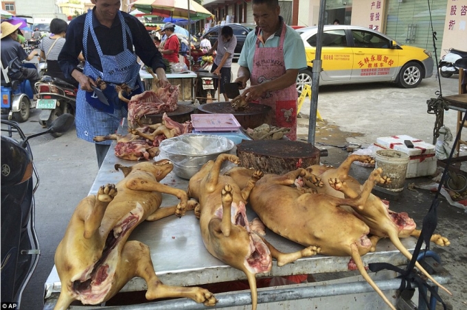 Chợ thịt ch&oacute; ở th&agrave;nh phố Ngọc L&acirc;m, Trung Quốc. (Ảnh: AP)