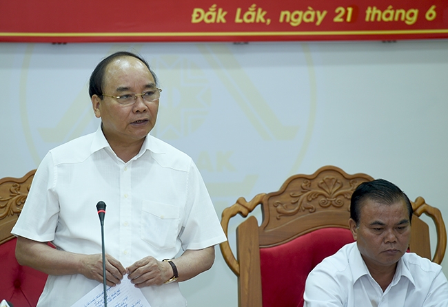 Thủ tướng Nguyễn Xu&acirc;n Ph&uacute;c y&ecirc;u cầu điều tra, xử l&yacute; nghi&ecirc;m h&agrave;nh vi ph&aacute; rừng Đắk Lắk.