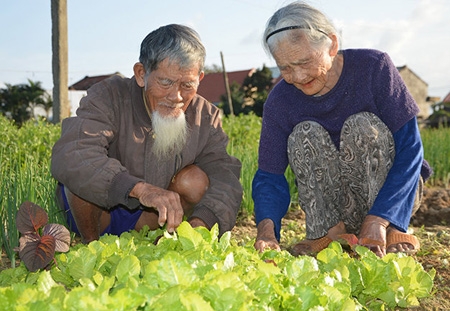 Hiện tại, &ocirc;ng b&agrave; đang sống bằng nghề trồng rau tại một ng&ocirc;i l&agrave;ng nhỏ ở Quảng Nam