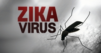 Mỹ công bố thử nghiệm thành công vắcxin phòng chống virus Zika trên động vật