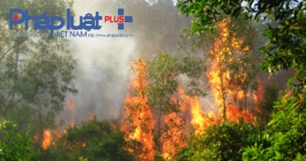 Vĩnh Phúc: Nắng nóng khiến 15ha rừng bị thiêu cháy ở Tam Đảo