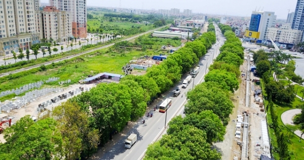 Bí thư Hà Nội nói về việc di dời, chặt hạ 1.300 cây xanh