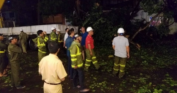 Hà Nội: Cành cây cổ thụ gãy rơi xuống đường làm 3 người bị thương sau cơn mưa lớn