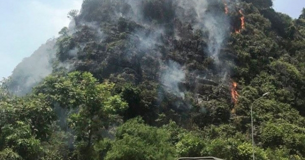 Ninh Bình: Cháy rừng đặc dụng, hàng trăm người tham gia dập lửa