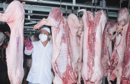 Thịt động vật muốn nhập v&agrave;o chợ đầu mối phải r&otilde; nguồn gốc, đảm bảo chất lượng