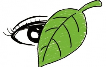 Bài Văn đạt điểm 10 thi Đại học ở Trung Quốc: “Thành tích như chiếc lá, đừng để lá che mắt…”
