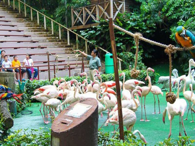 Vườn chim Jurong nổi tiếng ở Singapore. Ảnh: Internet&nbsp;.