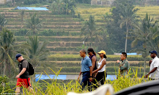 Cựu Tổng thống Barack Obama (&aacute;o xanh) c&ugrave;ng phu nh&acirc;n Michelle (mũ đen) v&agrave; con g&aacute;i Sasha (mũ v&agrave;ng) đi bộ qua c&aacute;nh đồng l&uacute;a ở Bali, Indonesia (Ảnh: AFP)