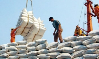 “Cấm cửa” tư nhân bán gạo vào thị trường tập trung